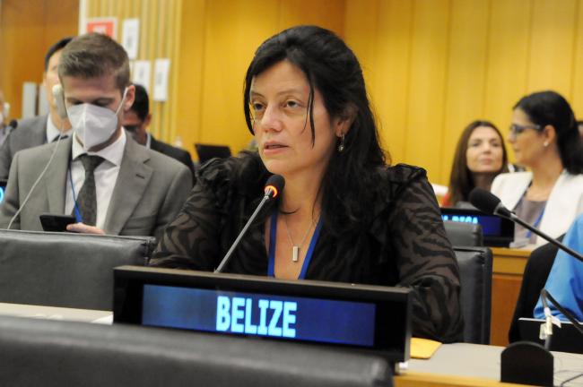 Janine Coye-Felson, Belize, Facilitator of the informal group on MGRs, including questions on benefit-sharing