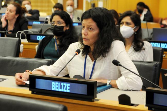 Janine Coye-Felson, Belize, Facilitator of the informal group on MGRs, including questions on benefit-sharing