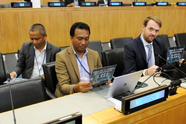 Andriantsilavo Rabary and Rado Aimé Rakotosoa, Madagascar