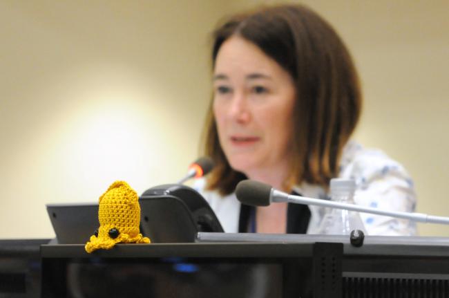 A little octopus helps Victoria Hallum facilitate the informal group on cross-cutting issues