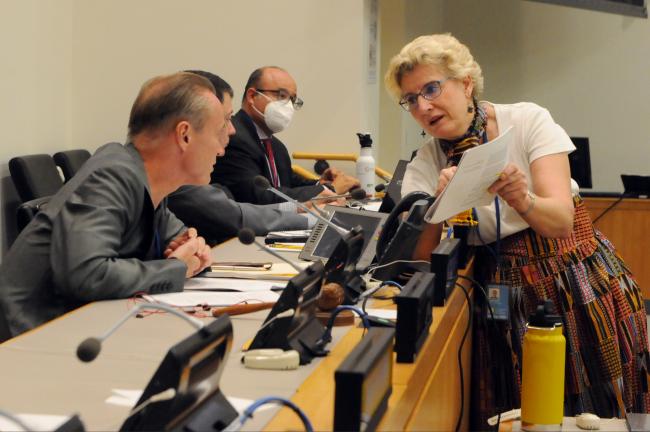 René Lefeber, the Netherlands, facilitator of the informal group on EIAs, and Sibylle Vermont, Switzerland