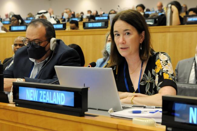 Victoria Hallum, New Zealand, facilitator of the informal group on implementation and compliance, and dispute settlement