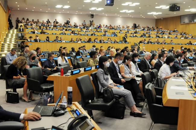 A view of the room during Wednesday's plenary