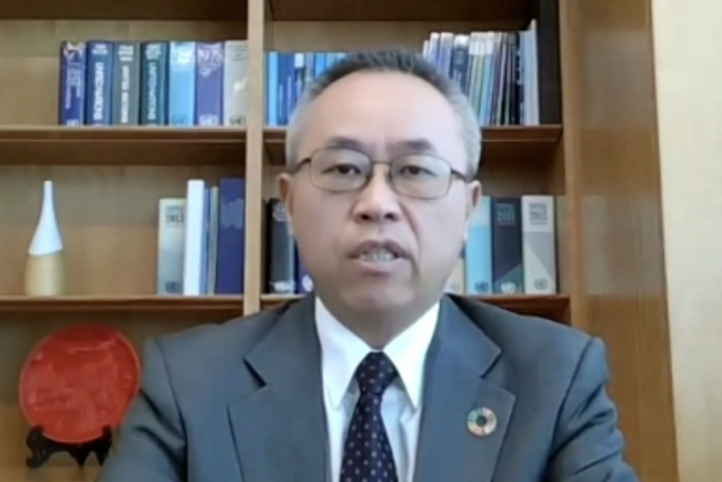 Li Junhua, Under-Secretary-General for the UN Department of Economic and Social Affairs (DESA)