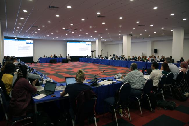 View of the room during the Thematic Group