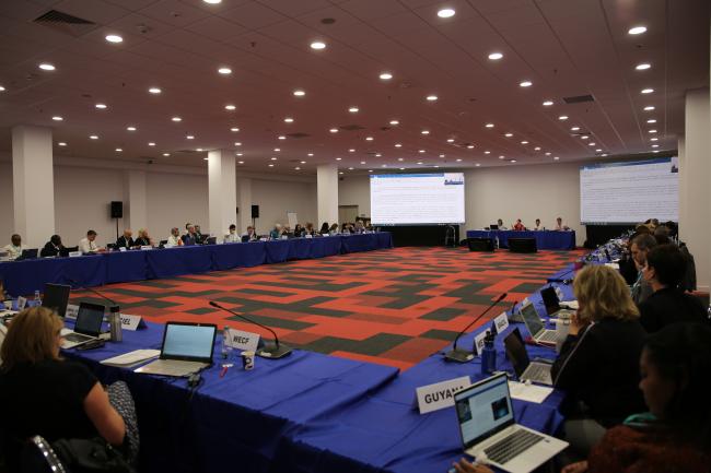 View of the room during the Thematic Group