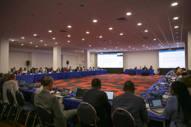 View of the room during the Thematic Group