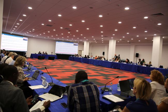 View of the room during the Thematic Group