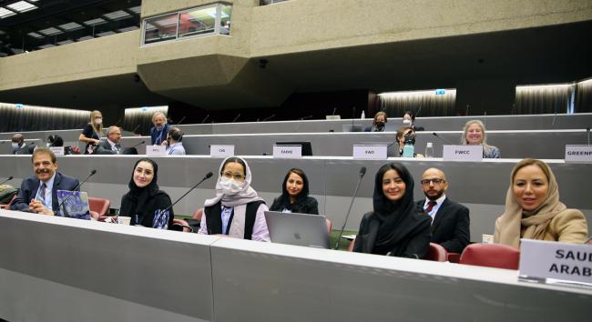 The Saudi delegation