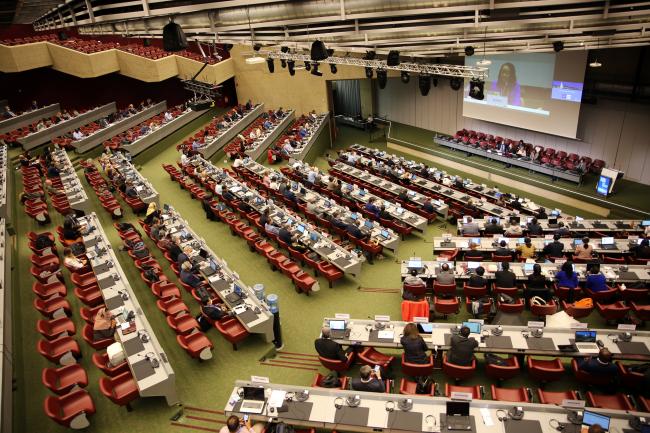 View of the room during the plenary