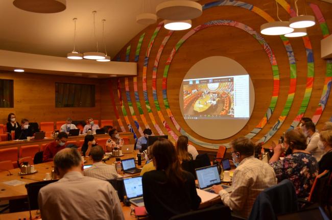 A view of the room during the long-chain PFCAs contact group - POPRC-18 - 27Sep2022 - Photo