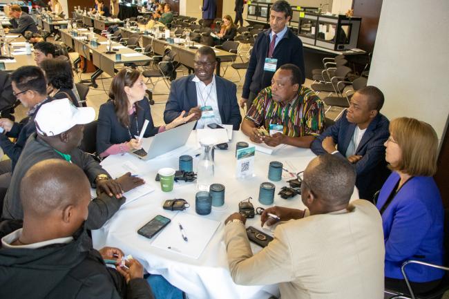 African delegates breakout group