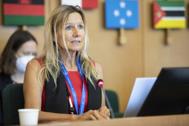 Christine Fuell, FAO - CRC-18 - 19 Sep 2022