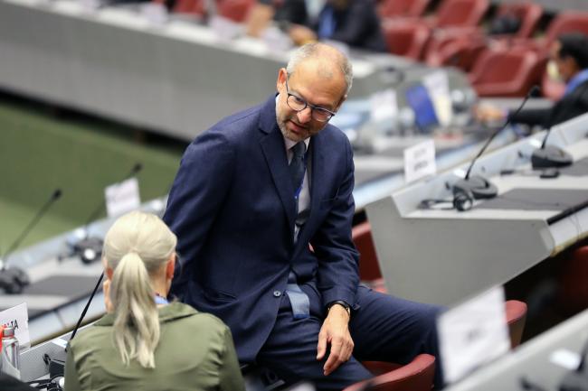 Philippe Tulkens, EU