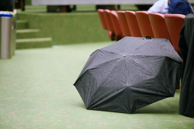 Umbrella