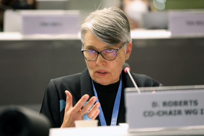 WGII Co-Chair Debra Roberts