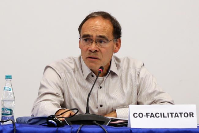 Co-Facilitator Reggie Hernaus, The Netherlands
