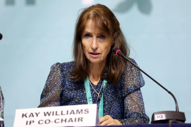 IP Co-Chair Kay Williams, UK