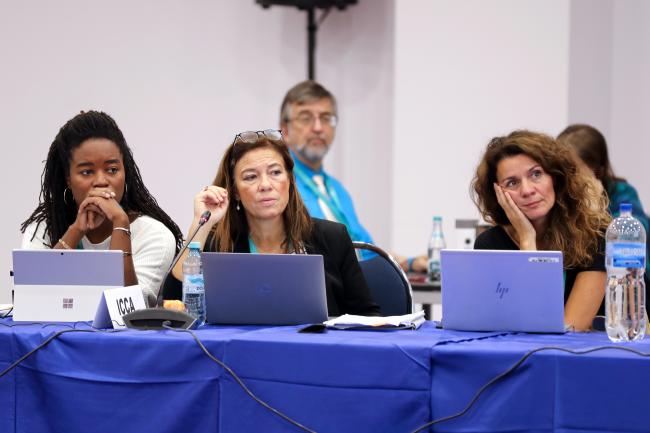 Delegates from the International Council of Chemical Associations