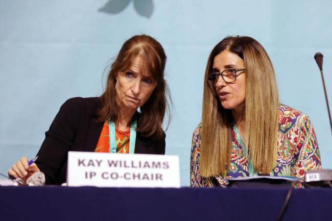 IP Co-Chairs Kay Williams, UK, and Judith Torres, Uruguay