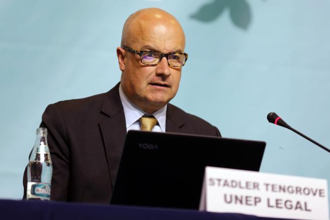 Stadler Trengove, UNEP Legal Officer
