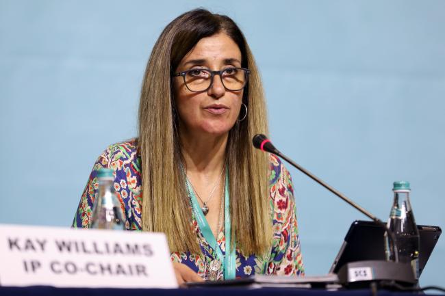 IP Co-Chair Judith Torres, Uruguay