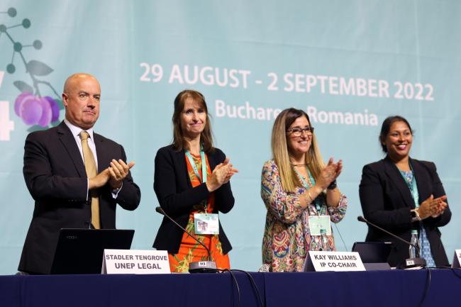 From L-R: Stadler Trengove, UNEP Legal Officer; IP Co-Chair Kay Williams, UK; IP Co-Chair Judith Torres, Uruguay; and Nalini Sharma, SAICM Secretariat