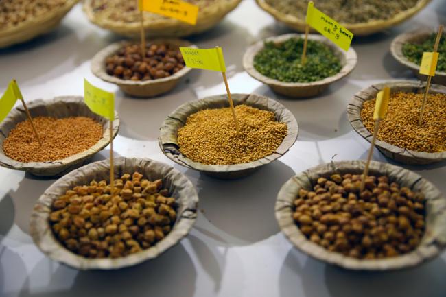 Seeds