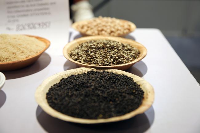 Seeds