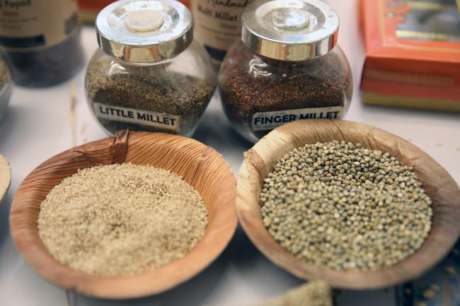 Seeds
