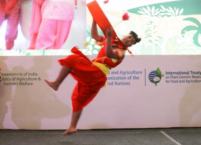 Cultural Event