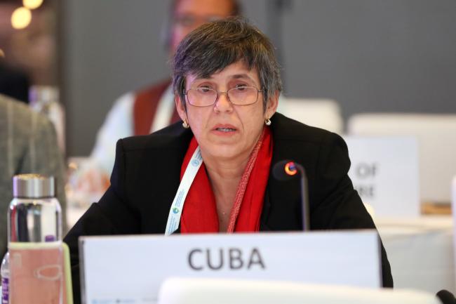 Lianne Fernández Granda, Cuba