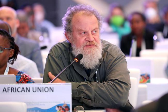 Pierre du Plessis, African Union