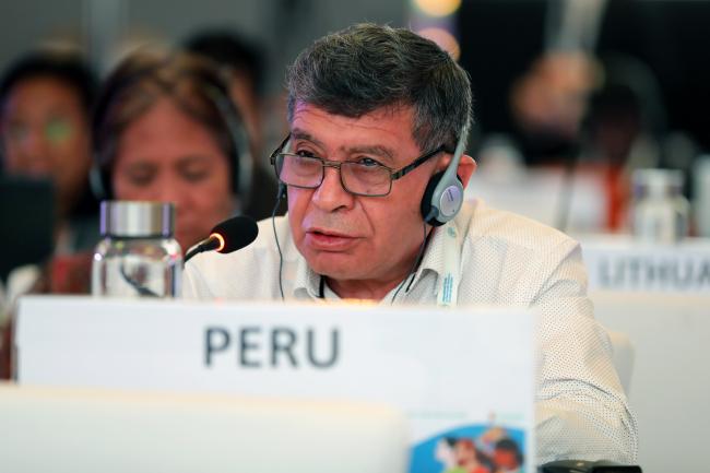 Roger Alberto Becerra Gallardo, Peru