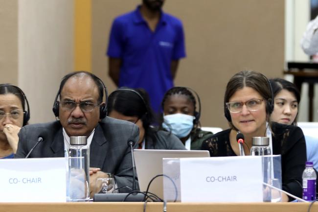Co-facilitators Rakesh Chandra Agrawal, India, and Svanhild-Isabelle Batta Torheim, Norway