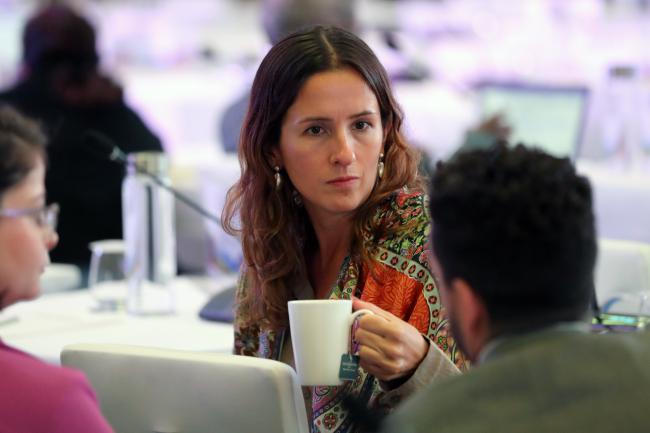 Mariana Marshall Parra, Brazil