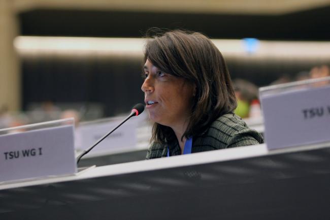 Anna Pirani, WGI Technical Support Unit