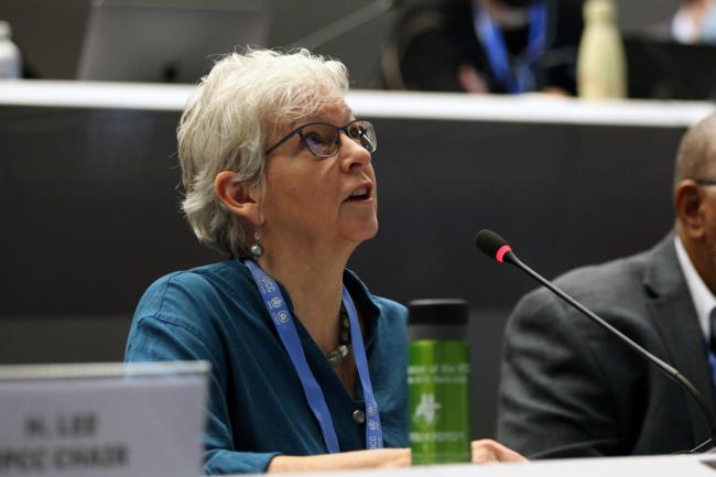 IPCC Vice-Chair Ko Barrett