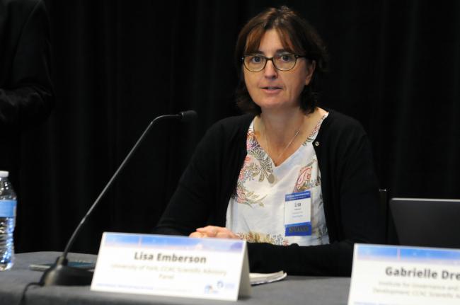 Lisa Emberson, Professor of Environmental Science, University of York, and CCAC Scientific Advisory Panel