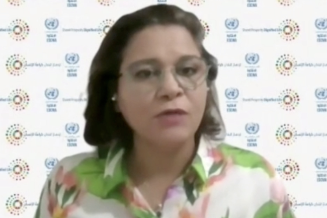 Radia Sedaoui, Chief Energy Section, Cluster of Climate Change and Natural Resource Sustainability, UNESCWA