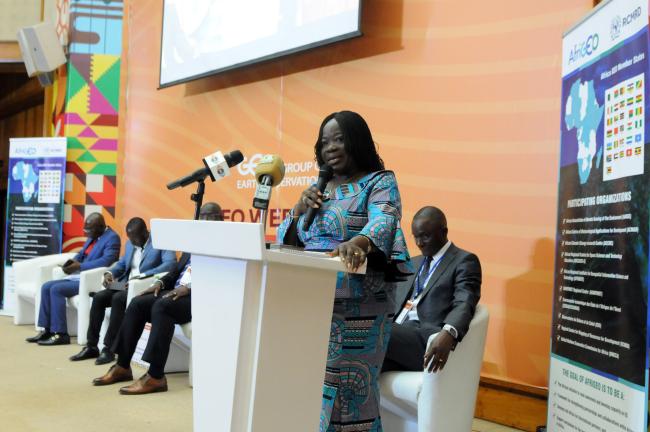 Cynthia Asare Bediako, Chief Director, Ministry of Environment, Science, Technology and Innovation, Ghana