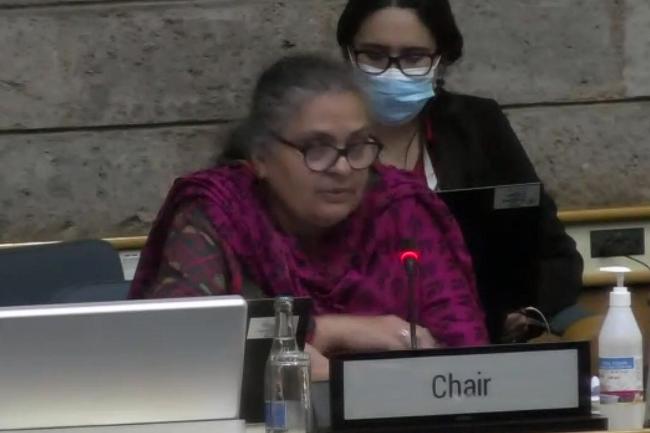 OEWG1 Vice-Chair Saqlain Syedah, Pakistan