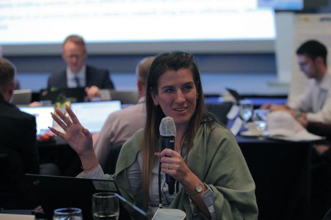 Sarah Wollring, Secretariat of the Cartagena Convention