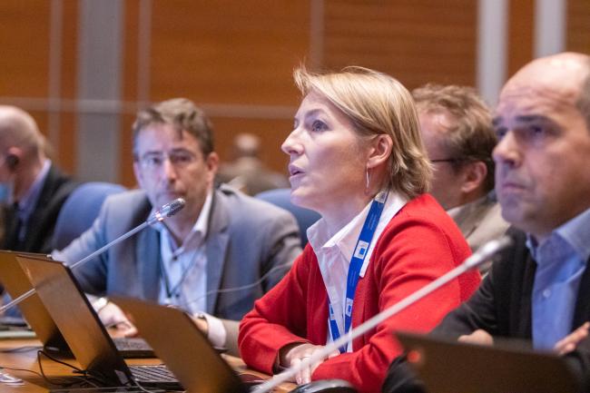Agnieszka Truszczynska, EU