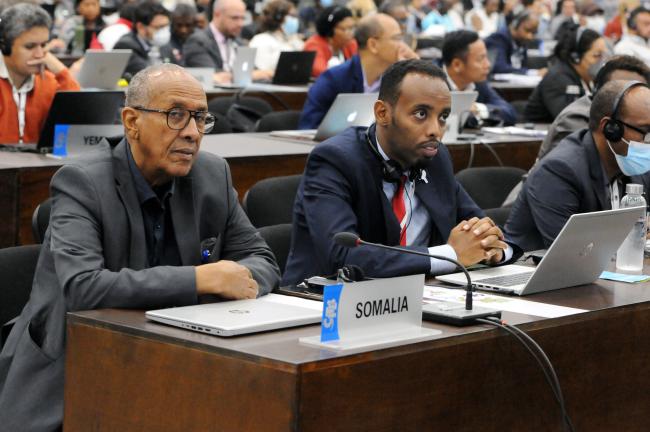 Ahmed Osman and Mohamed Sh Ahmed, Somalia