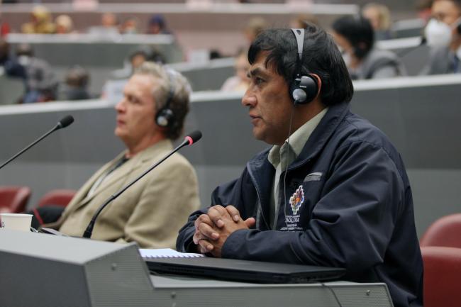 Alvaro Nemo Baez Flores, Bolivia