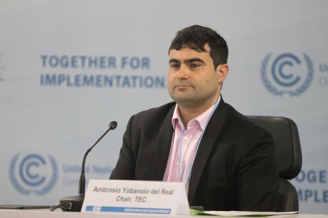 Ambrosio Yobanolo del Real, TEC Chair