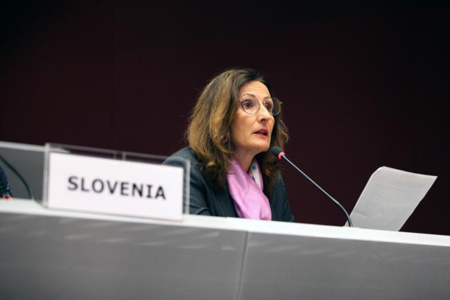 Anita Pipan, Slovenia 