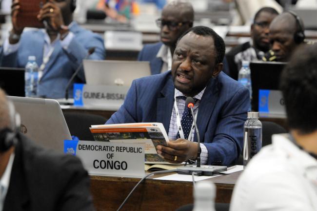 Augustin Ngumbi Amuri, Democratic Republic of the Congo