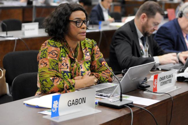 Aurélie Flore Koumba Pambo, Gabon